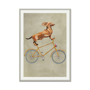 Fairford Axis Dachshund Wall Art Print — gallery image 49