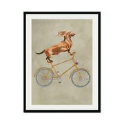 Fairford Axis Dachshund Wall Art Print — gallery image 24