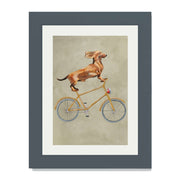 Fairford Axis Dachshund Wall Art Print — gallery image 32