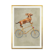 Fairford Axis Dachshund Wall Art Print — gallery image 43