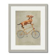 Fairford Axis Dachshund Wall Art Print — gallery image 45