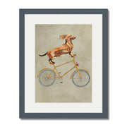 Fairford Axis Dachshund Wall Art Print — gallery image 33