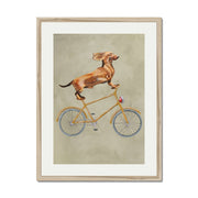 Fairford Axis Dachshund Wall Art Print — gallery image 53
