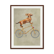 Fairford Axis Dachshund Wall Art Print — gallery image 30