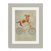 Fairford Axis Dachshund Wall Art Print — gallery image 44