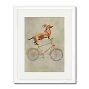 Fairford Axis Dachshund Wall Art Print — gallery image 63