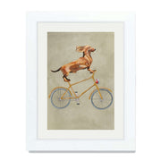 Fairford Axis Dachshund Wall Art Print — gallery image 62