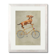 Fairford Axis Dachshund Wall Art Print — gallery image 57