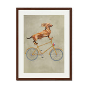 Fairford Axis Dachshund Wall Art Print — gallery image 29