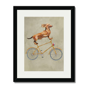 Fairford Axis Dachshund Wall Art Print — gallery image 21