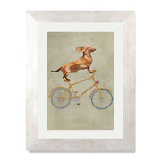 Fairford Axis Dachshund Wall Art Print — gallery image 56