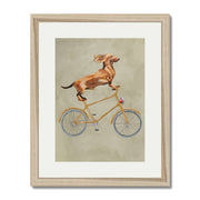 Fairford Axis Dachshund Wall Art Print — gallery image 51