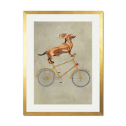 Fairford Axis Dachshund Wall Art Print — gallery image 41