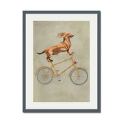 Fairford Axis Dachshund Wall Art Print — gallery image 35
