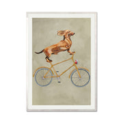 Fairford Axis Dachshund Wall Art Print — gallery image 61