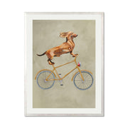 Fairford Axis Dachshund Wall Art Print — gallery image 60