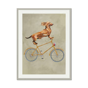 Fairford Axis Dachshund Wall Art Print — gallery image 48