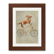 Fairford Axis Dachshund Wall Art Print — gallery image 26