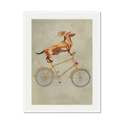 Fairford Axis Dachshund Wall Art Print — gallery image 66
