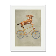 Fairford Axis Dachshund Wall Art Print — gallery image 65