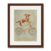 Fairford Axis Dachshund Wall Art Print — gallery image 27