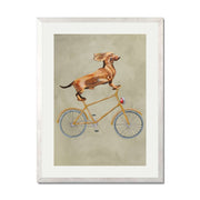Fairford Axis Dachshund Wall Art Print — gallery image 59