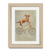 Fairford Axis Dachshund Wall Art Print — gallery image 50