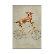 Fairford Axis Dachshund Wall Art Print — gallery image 68