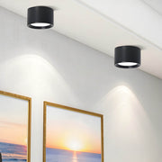 Ashford Loop Aluminum Ceiling Light — gallery image 2