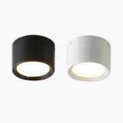 Ashford Loop Aluminum Ceiling Light — gallery image 1