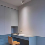 Bracken Loop Aluminum Ceiling Light — gallery image 4