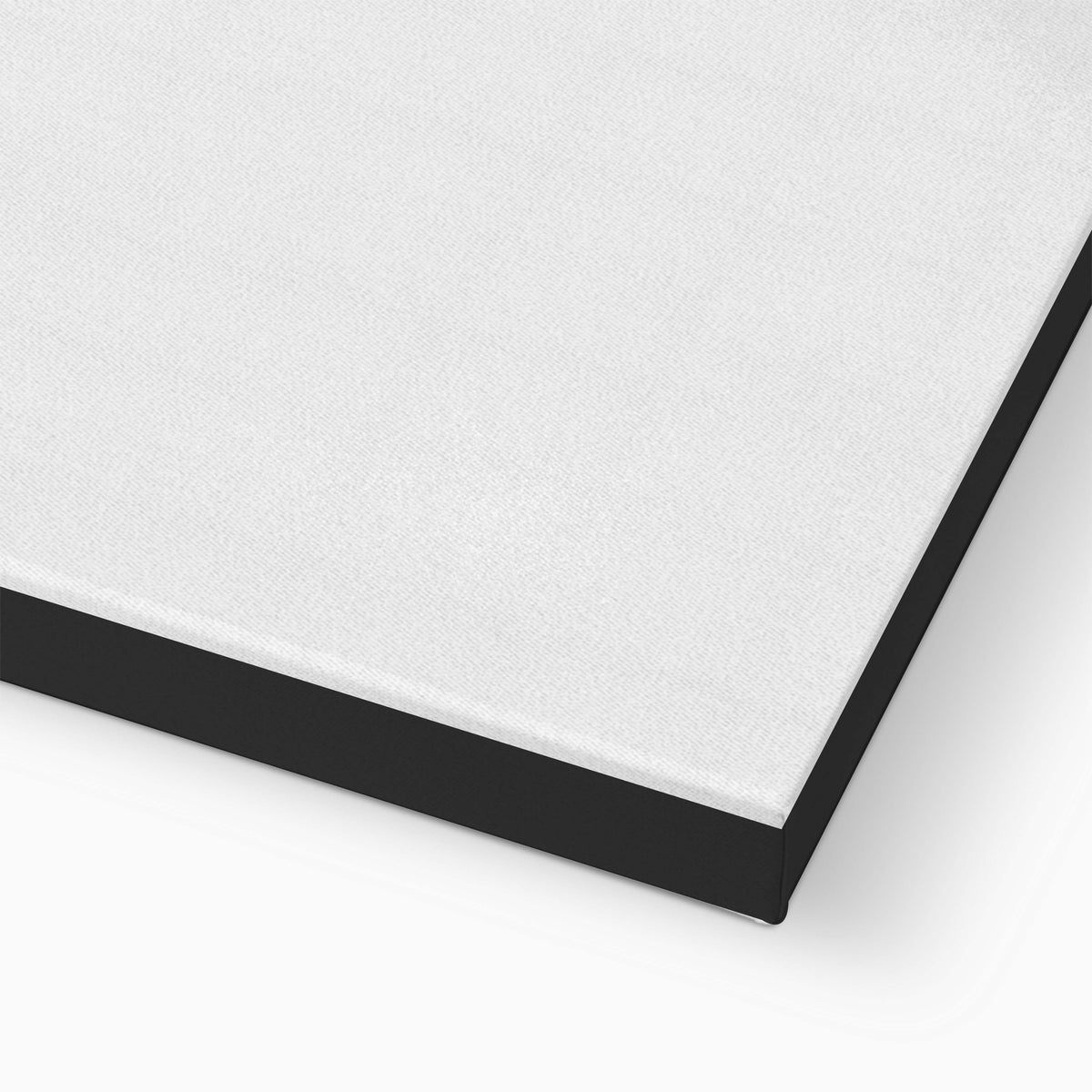 Brookfield Curve Cat Canvas Wall Art — gallery image 15