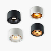 Wren Loop Aluminum Ceiling Light — gallery image 1