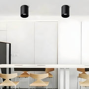 Sorrel Loop Aluminum Ceiling Light — gallery image 6