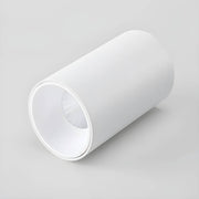 Sorrel Loop Aluminum Ceiling Light — gallery image 16