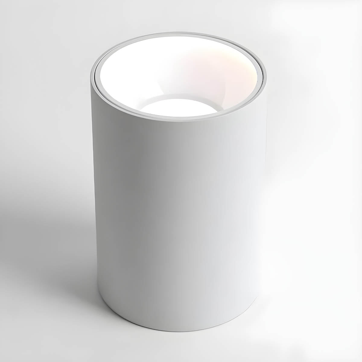
Tilden Loop Aluminum Ceiling Light — photo 15
