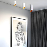 Sequoia Loop Aluminum Ceiling Light — gallery image 8
