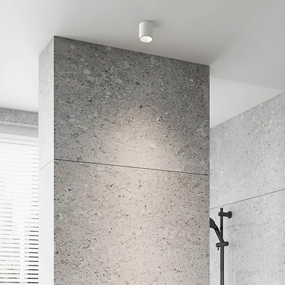 Clover Loop Aluminum Ceiling Light — gallery image 4