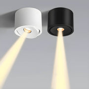 Lindenwood Loop Aluminum Ceiling Light — gallery image 2