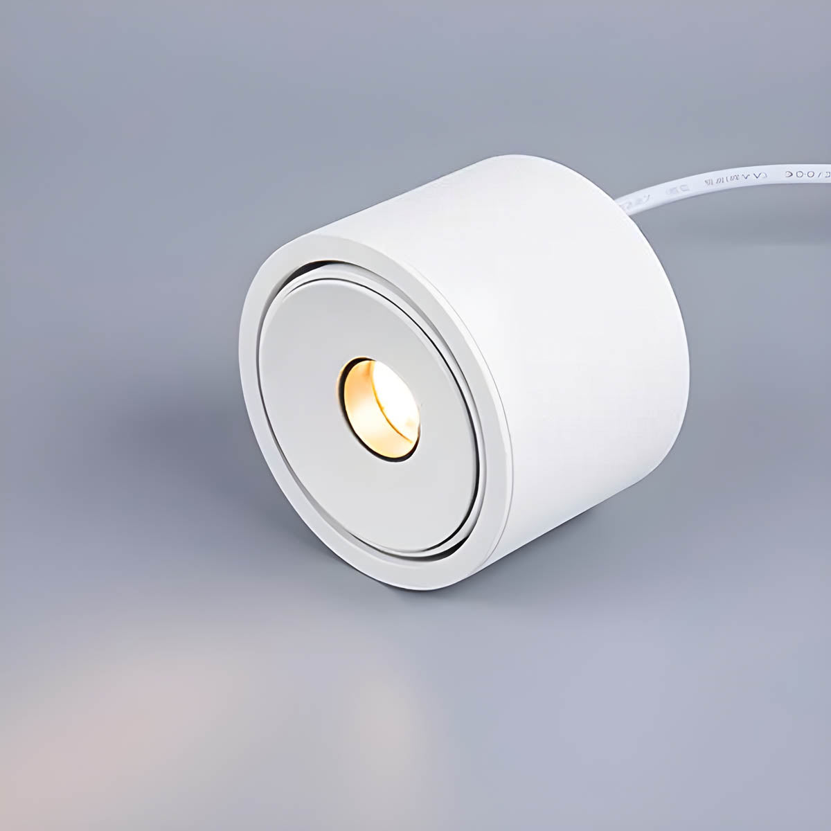 Lindenwood Loop Aluminum Ceiling Light — gallery image 6