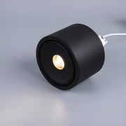 Lindenwood Loop Aluminum Ceiling Light — gallery image 7