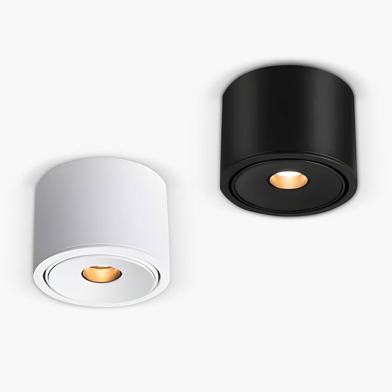 Lindenwood Loop Aluminum Ceiling Light — gallery image 1