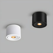Thistle Loop Aluminum Ceiling Light — gallery image 5