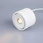 Thistle Loop Aluminum Ceiling Light — gallery image 7