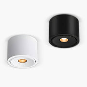 Thistle Loop Aluminum Ceiling Light — gallery image 1