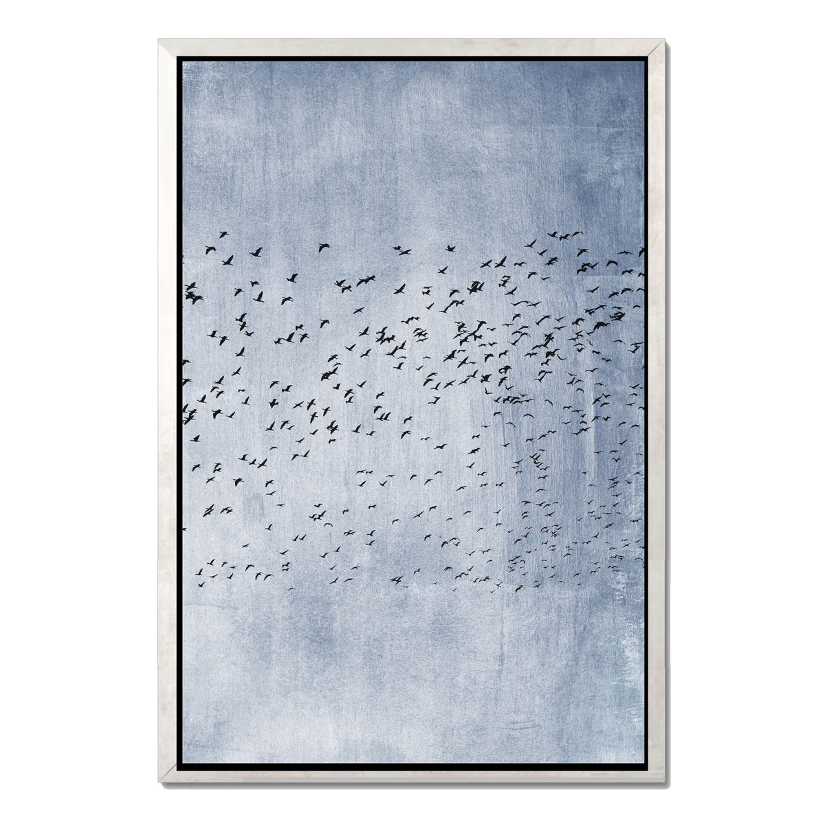 Fennel Loop Bird Canvas Wall Art — gallery image 36