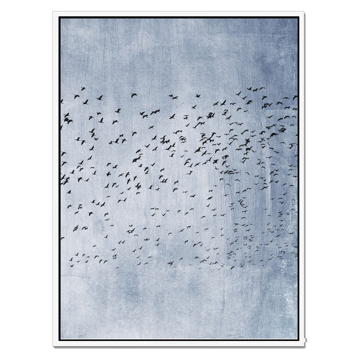 Fennel Loop Bird Canvas Wall Art — gallery image 41