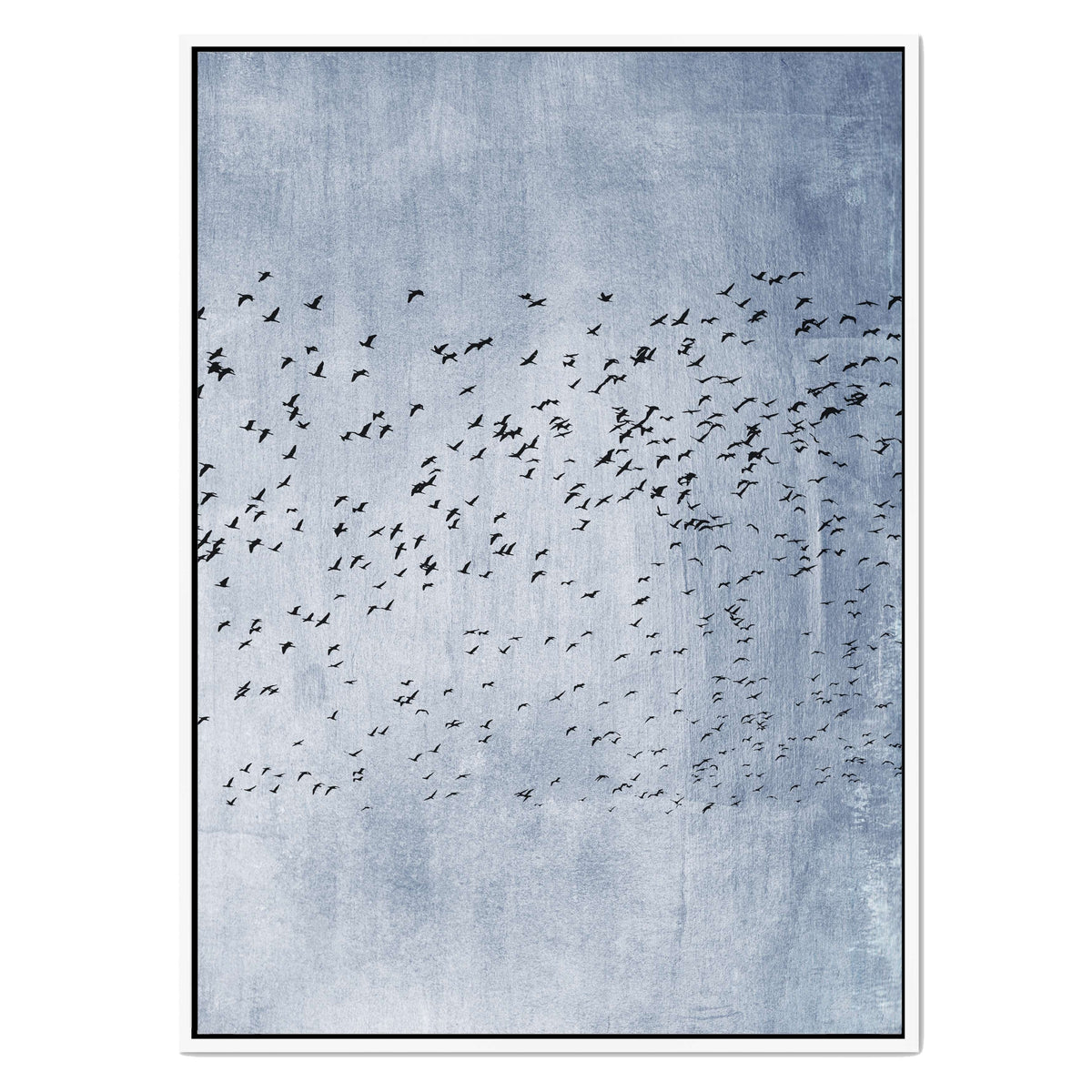 Fennel Loop Bird Canvas Wall Art — gallery image 51