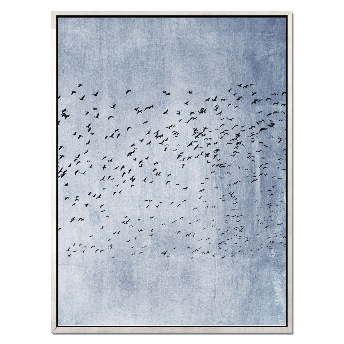 Fennel Loop Bird Canvas Wall Art — gallery image 37
