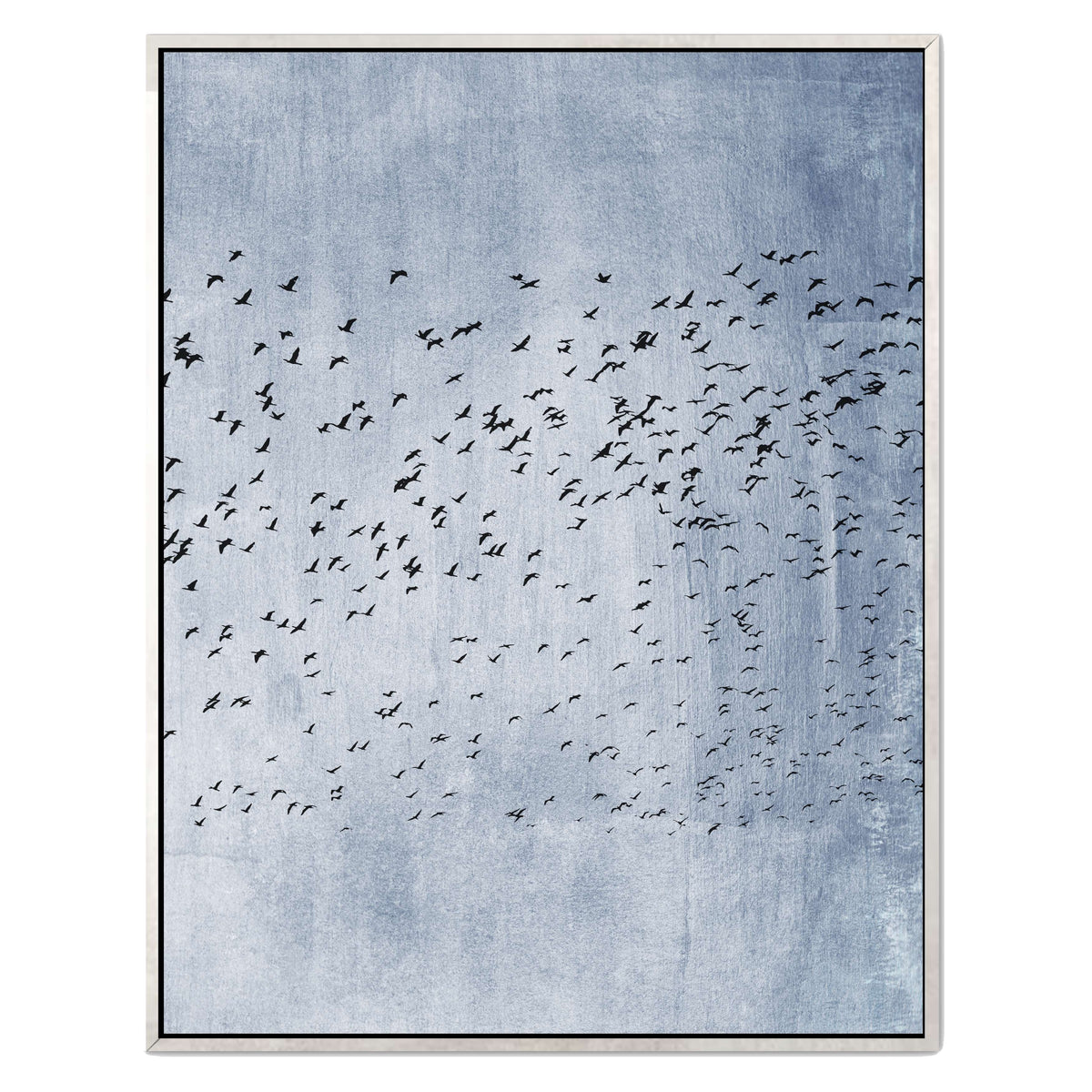 Fennel Loop Bird Canvas Wall Art — gallery image 48